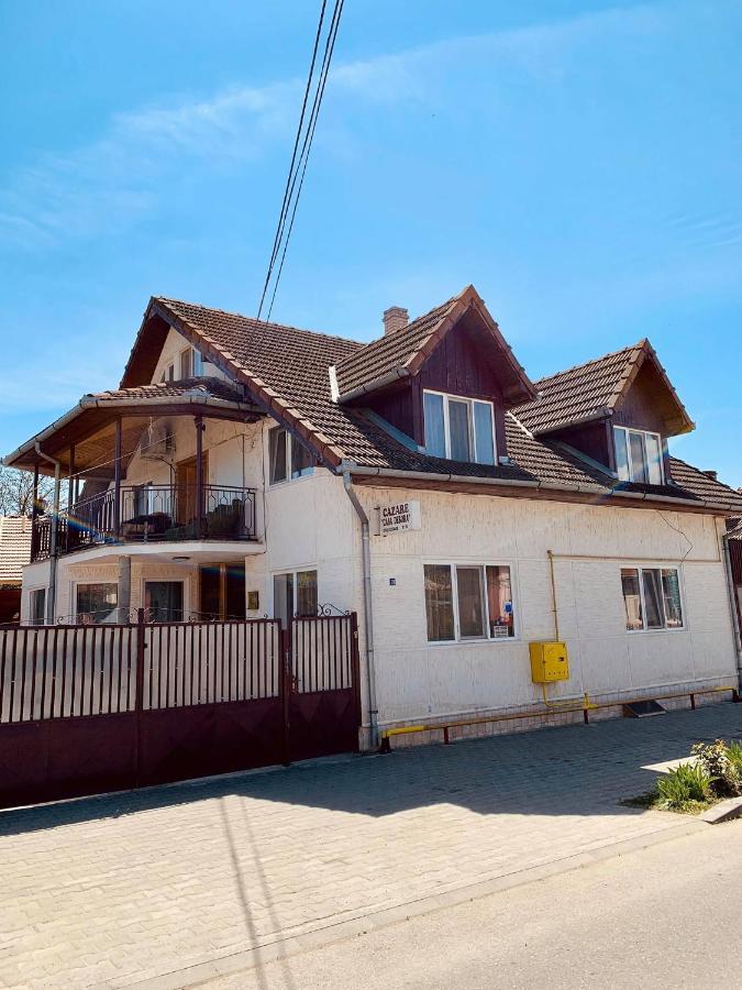 Casa Debora Otel Haţeg Dış mekan fotoğraf