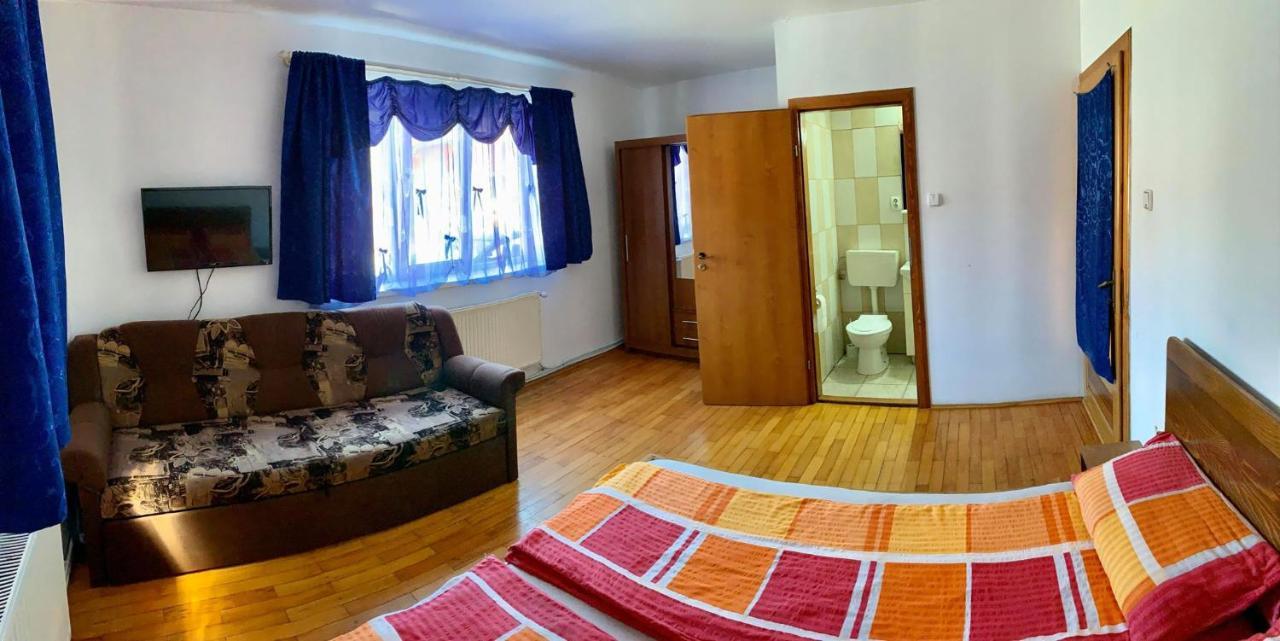 Casa Debora Otel Haţeg Dış mekan fotoğraf