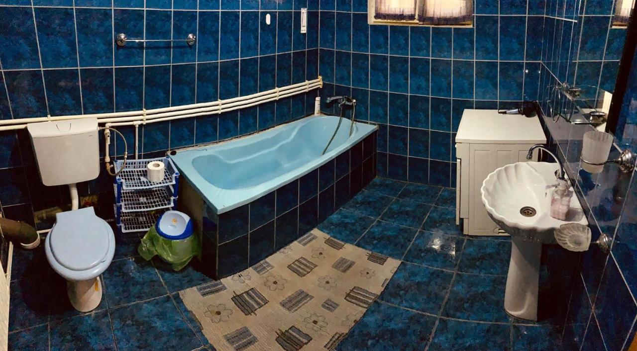 Casa Debora Otel Haţeg Dış mekan fotoğraf