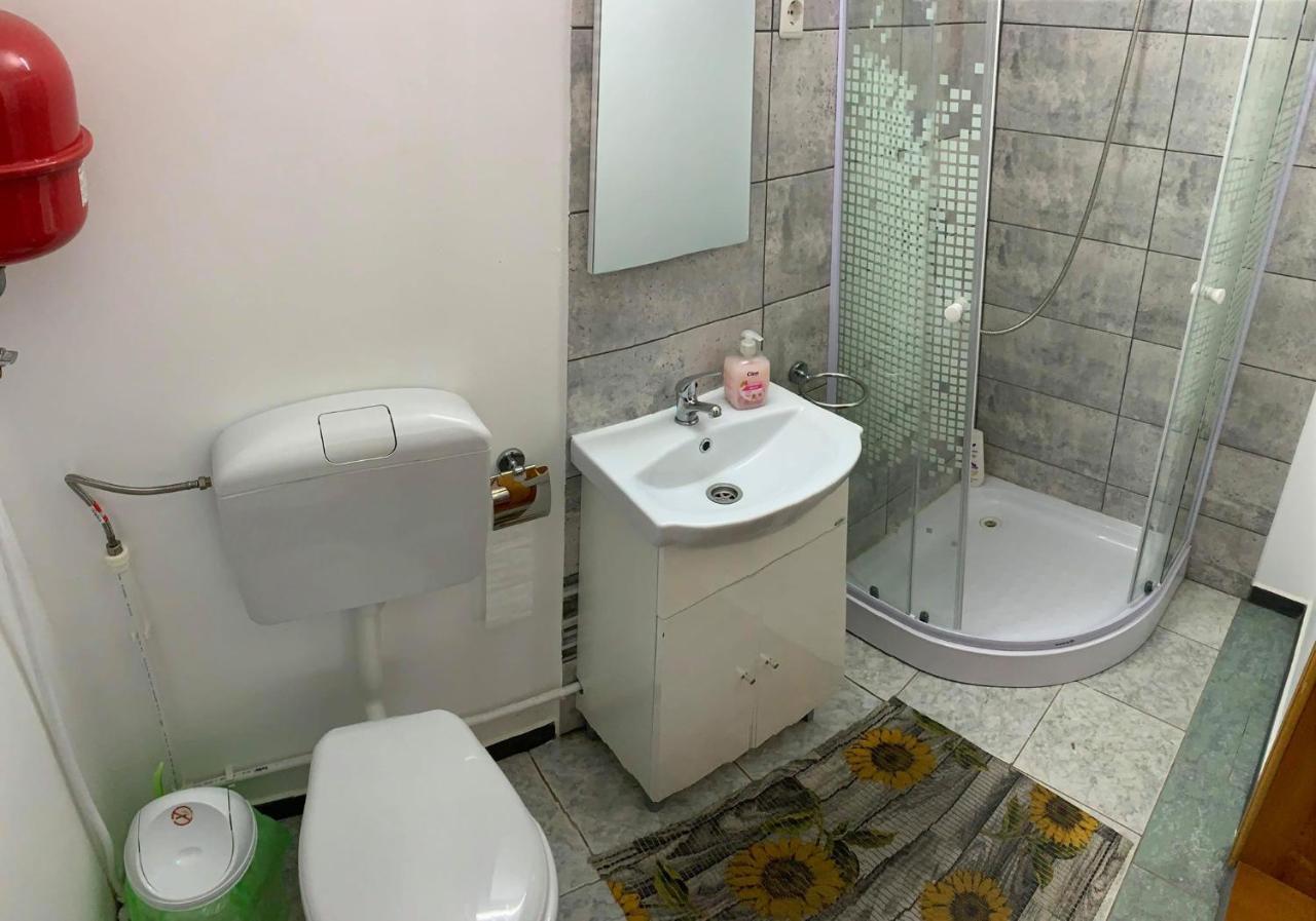 Casa Debora Otel Haţeg Dış mekan fotoğraf