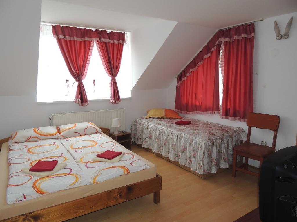 Casa Debora Otel Haţeg Dış mekan fotoğraf