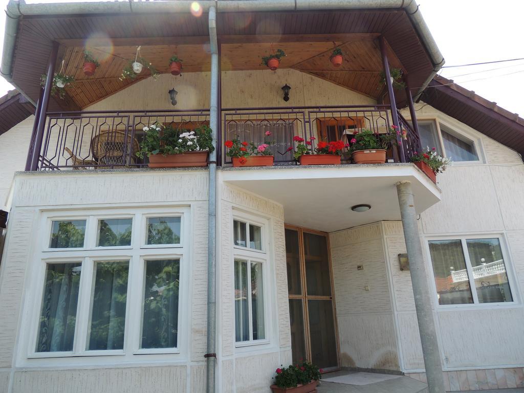 Casa Debora Otel Haţeg Dış mekan fotoğraf